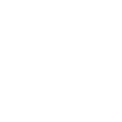 FB Icon